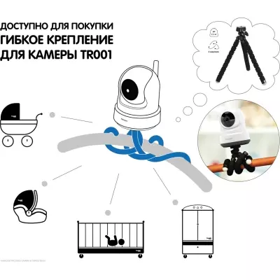 Видеоняня Ramicom VRC250 с доступом через интернет