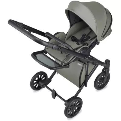 Коляска универсальная 2 в 1 Anex e/type Echo, оливковый