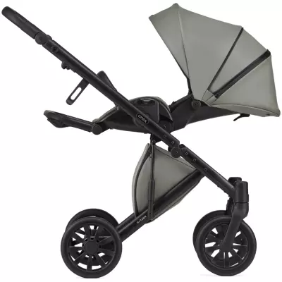 Коляска универсальная 2 в 1 Anex e/type Echo, оливковый