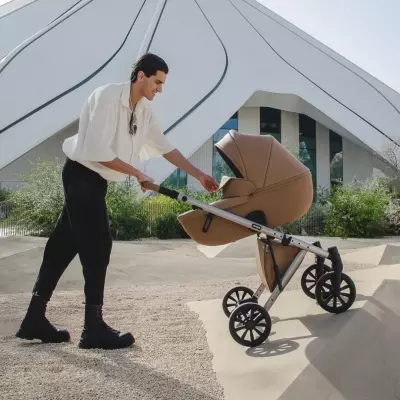 Коляска универсальная 2 в 1 Anex e/type Echo, оливковый