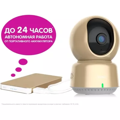 Видеоняня Ramili RV1600C