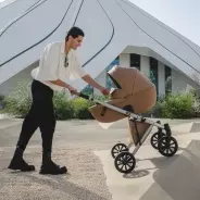 Коляска универсальная 2 в 1 Anex e/type Echo, оливковый