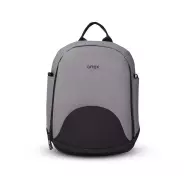 Коляска 2в1 Anex m/type Iron